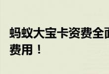蚂蚁大宝卡资费全面解析：让你一文搞懂所有费用！