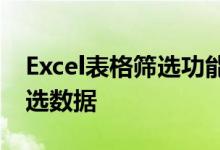 Excel表格筛选功能详解：锁定关键词高效筛选数据