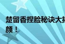 楚留香捏脸秘诀大揭秘：如何塑造完美角色容颜！