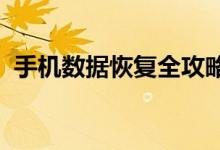 手机数据恢复全攻略：轻松找回丢失的数据