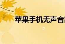 苹果手机无声音故障解析及解决指南