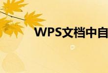 WPS文档中自动生成目录的指南
