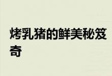 烤乳猪的鲜美秘笈:一道不可错过的食物语传奇