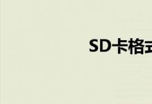 SD卡格式化步骤详解