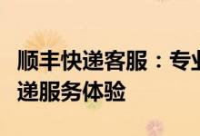 顺丰快递客服：专业团队提供高效、优质的快递服务体验