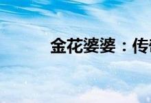 金花婆婆：传奇人生与神秘传奇