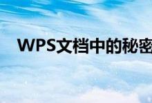 WPS文档中的秘密:如何轻松取消隐藏?