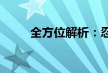 全方位解析：忍者加点策略与技巧