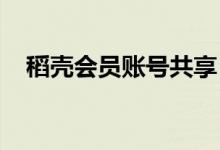 稻壳会员账号共享：解锁协同办公新姿势