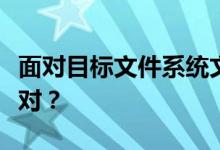 面对目标文件系统文件过大，我们应该如何应对？
