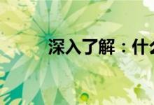 深入了解:什么是Torrent文件?