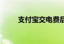 支付宝交电费后如何获取发票详解