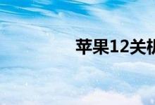 苹果12关机重启操作指南