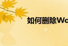 如何删除Word中的空白页面