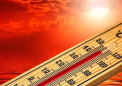 极端高温是弗吉尼亚州的一个问题研究人员希望提供帮助
